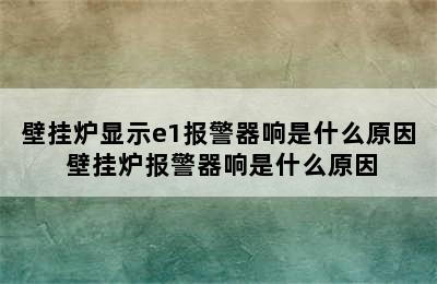 壁挂炉显示e1报警器响是什么原因 壁挂炉报警器响是什么原因